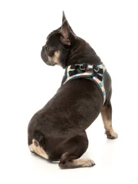 FuzzYard Step In Harness - Carioca S - img 5