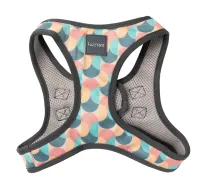 FuzzYard Step In Harness - Carioca XS - img 1