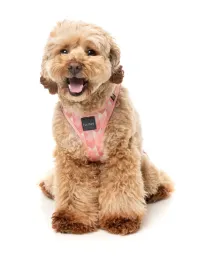 FuzzYard Step In Harness - Pink Lemonade S - img 3