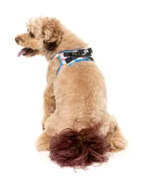 FuzzYard Step In Harness - Fresh Zest M - img 5