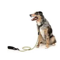 FY Active Rope Lead - Khaki - img 3