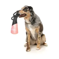 FY Active Dog Toy - Fetch N Float - Peach - img 2