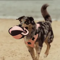 FY Active Dog Toy - Ball Tug - Peach - img 3
