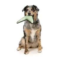 FY Active Dog Toy - Flyer - Khaki - img 2