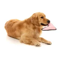 FY Active Dog Toy - Flyer - Peach - img 2