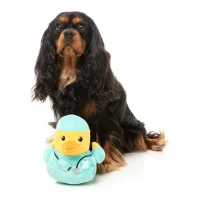 FuzzYard Toy - Ducks - Ducktor - img 4