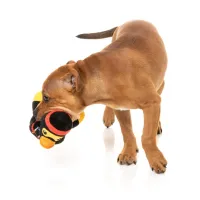 FuzzYard Toy - Ducks - Quackie Chan - img 3