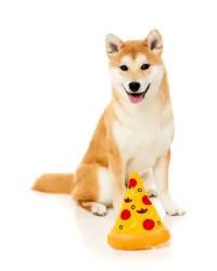 FuzzYard Toy - Food - Pizza Slice - img 2