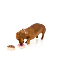 FuzzYard Toy - Food - Donuts 2 per pack - img 3