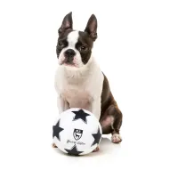 FuzzYard Toy - Sports - Soccer Ball - img 2