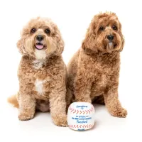 FuzzYard Toy - Sports - Baseball - img 2