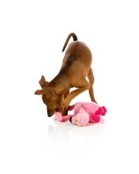 FuzzYard Toy - Nasties - Flo L - img 3