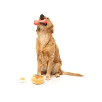 FuzzYard Toy - Perfect Match - Dog's Breakfast 3Pk - img 2
