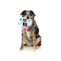 FuzzYard Toy - The Homies - Gamezy - img 2