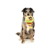 FuzzYard Toy - The Homies - Patty - img 3