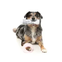 FuzzYard Toy - Perfect Match - Fetch My Slippers & Paper 2Pk - img 3
