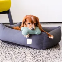 FuzzYard LIFE Bone Toy - Myrtle Green S - img 3