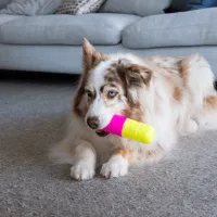FuzzYard Interactive Chew Toy - Chill Pill - img 3