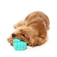 FuzzYard Interactive Chew Toy - Knuckle Sandwich - img 3