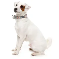 FuzzYard Dog Collar - Yazd M - img 2