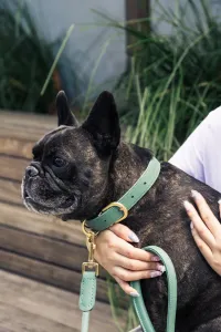 FuzzYard LIFE Atelier Dog Lead - Myrtle Green S - img 3