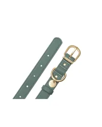 FuzzYard LIFE Atelier Collar - Myrtle Green S - img 2