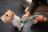 FuzzYard LIFE Atelier Poop Bag Dispenser - Myrtle Green - img 3