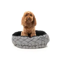 FuzzYard Reversible Bed - Fitzroy S - img 3