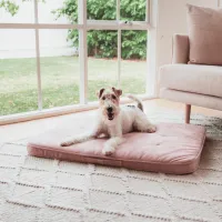 FuzzYard Life Lounge Mat - Soft Blush M - img 2