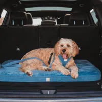 FuzzYard Life Lounge Mat - French Blue M - img 3
