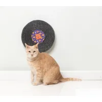 FuzzYard Record Cat Scratcher - Caturday Night Fever - img 2