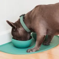 FuzzYard Life Silicone Feeding Mat - Myrtle Green - img 3