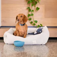 FuzzYard LIFE Silicone Bowl - Slate Grey L - img 3
