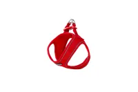 Am Soft crveni S 35–40 cm - img 1