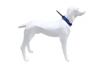 Ogrlica Gun plava 20 mm × 39/52 cm - img 1