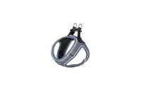 Am Shiva sivi XS 20–35 cm - img 1