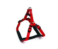 Am Ergo crveni 25 mm × 71/91 cm - img 1
