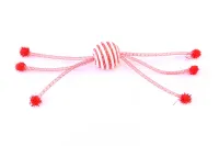 Pelopatas crvena 20 × 4 cm - img 1