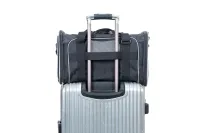 Transporter Orly sivi 45 × 28 × 28 cm - img 2