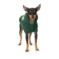 FuzzYard Hoodie - Treats - Green 6 - img 5