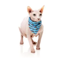 FuzzYard Cat Fashion Pack - Soy Sauce Fish - img 2