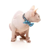 FuzzYard Cat Fashion Pack - Soy Sauce Fish - img 3