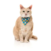 FuzzYard Cat Fashion Pack - Cheesy Hearts - img 2