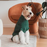 FuzzYard Life Knitted Sweater - Myrtle Green 1 - img 3