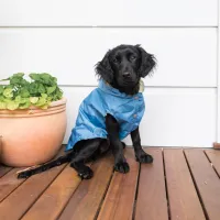 FuzzYard LIFE - Raincoat - French Blue 4 - img 3