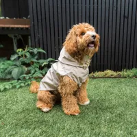 FuzzYard LIFE - Raincoat - Sandstone 5 - img 3