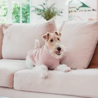 FuzzYard Life Knitted Sweater - Soft Blush 2 - img 3