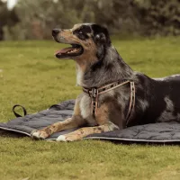 FY Active Roll-Up Travel Mat - L (90x120cm) - img 4