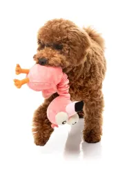 FuzzYard Toy - Neck Minnit - Neckole The Flamingo - img 4