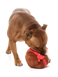 FuzzYard Xmas Toy - Merry Puddin S - img 4